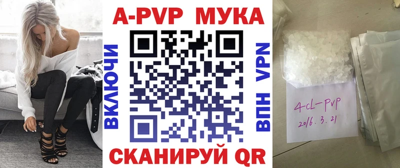 Альфа ПВП СК  Бакал 