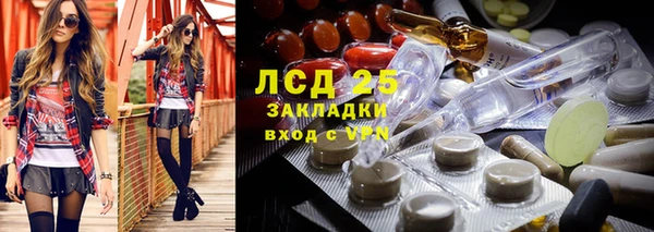 гидра Аркадак
