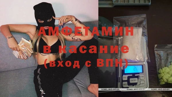 гидра Аркадак