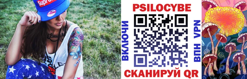 Галлюциногенные грибы Psilocybe  где продают   Бакал 
